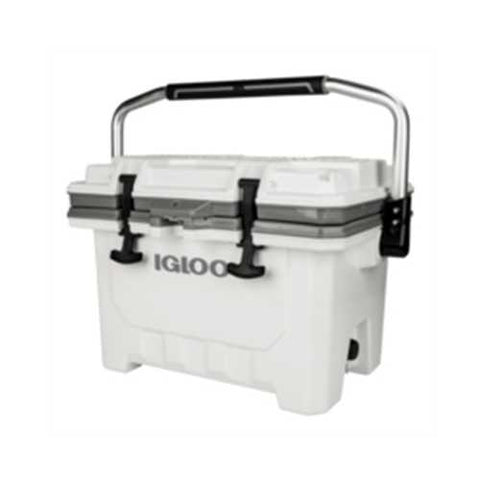 24 QT IMX WHT MNSCPE 1P